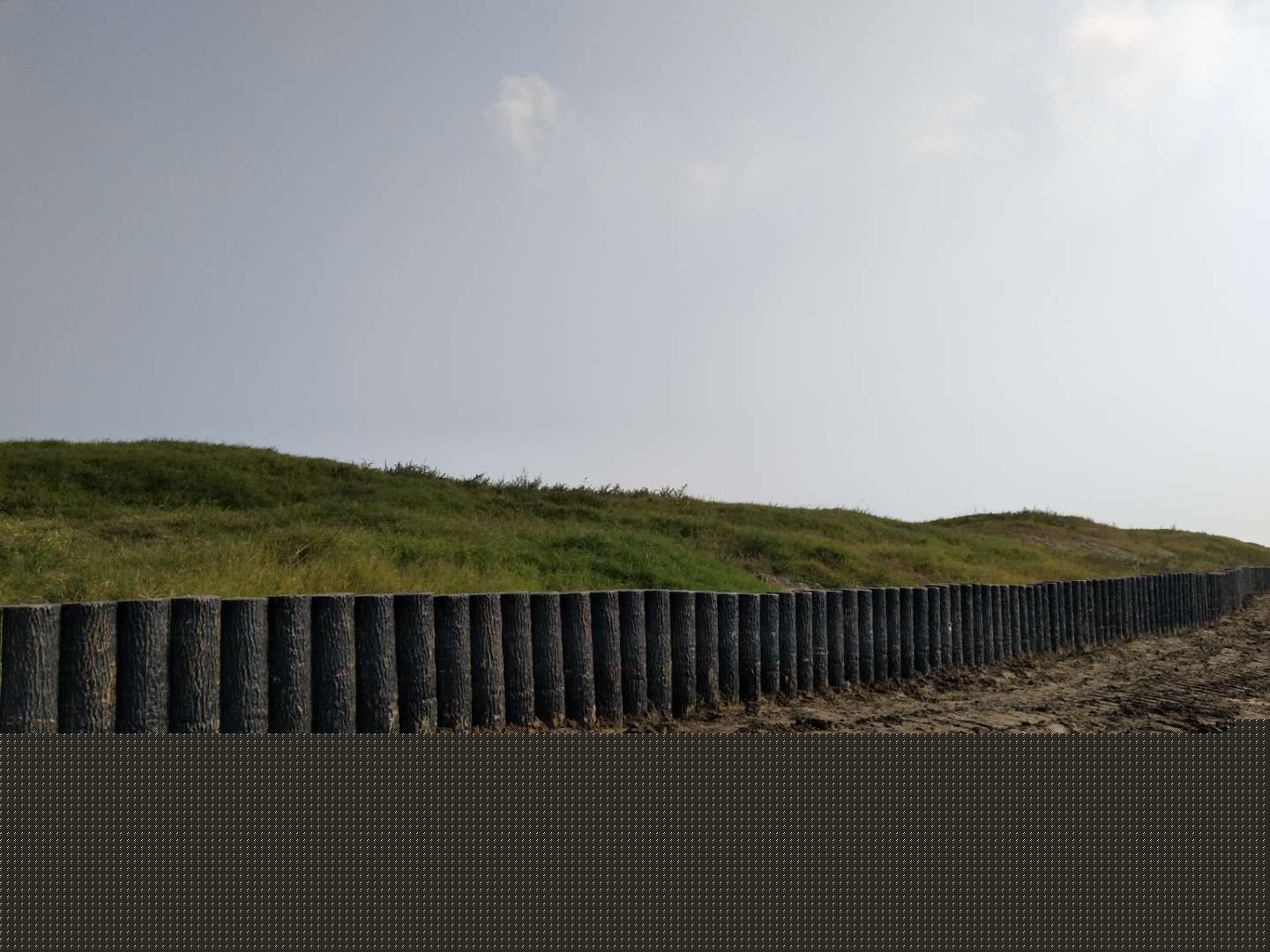 仿木護(hù)岸樁